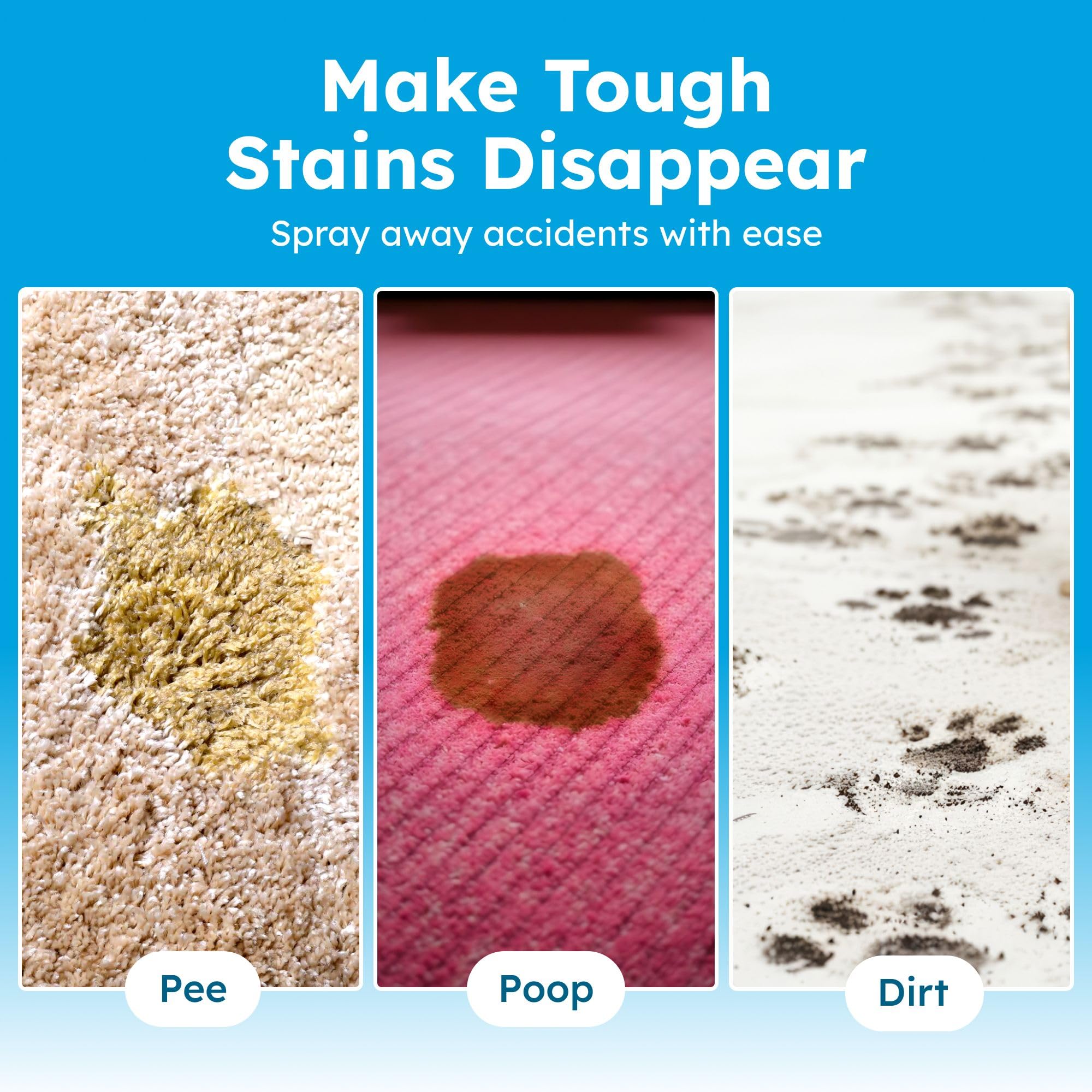 BugMD enzyme cleaner bottle used on cat urine stain for odor neutralization.