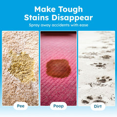 BugMD enzyme cleaner bottle used on cat urine stain for odor neutralization.