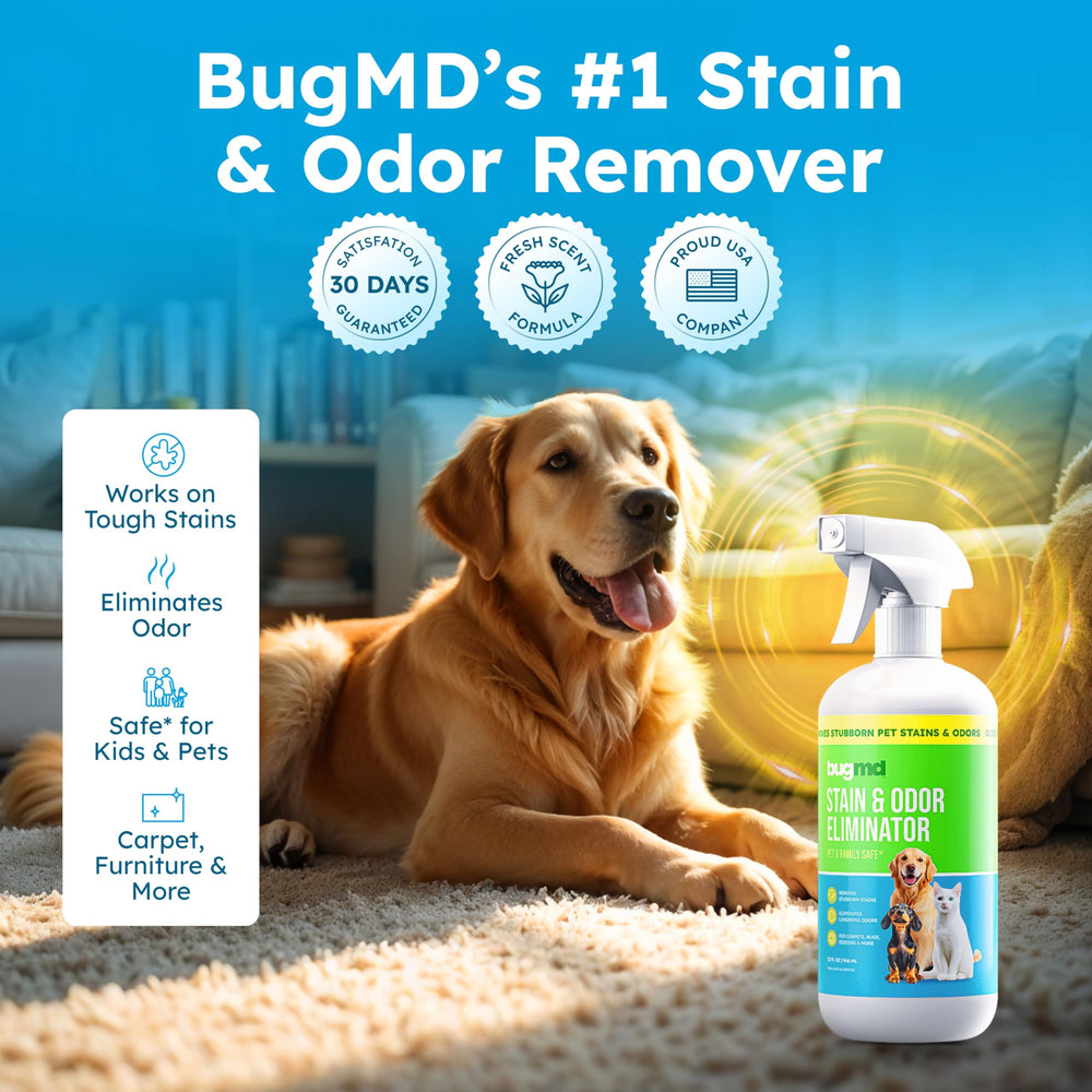 BugMD multi-surface cleaner safe for carpets, upholstery, and wood surfaces.