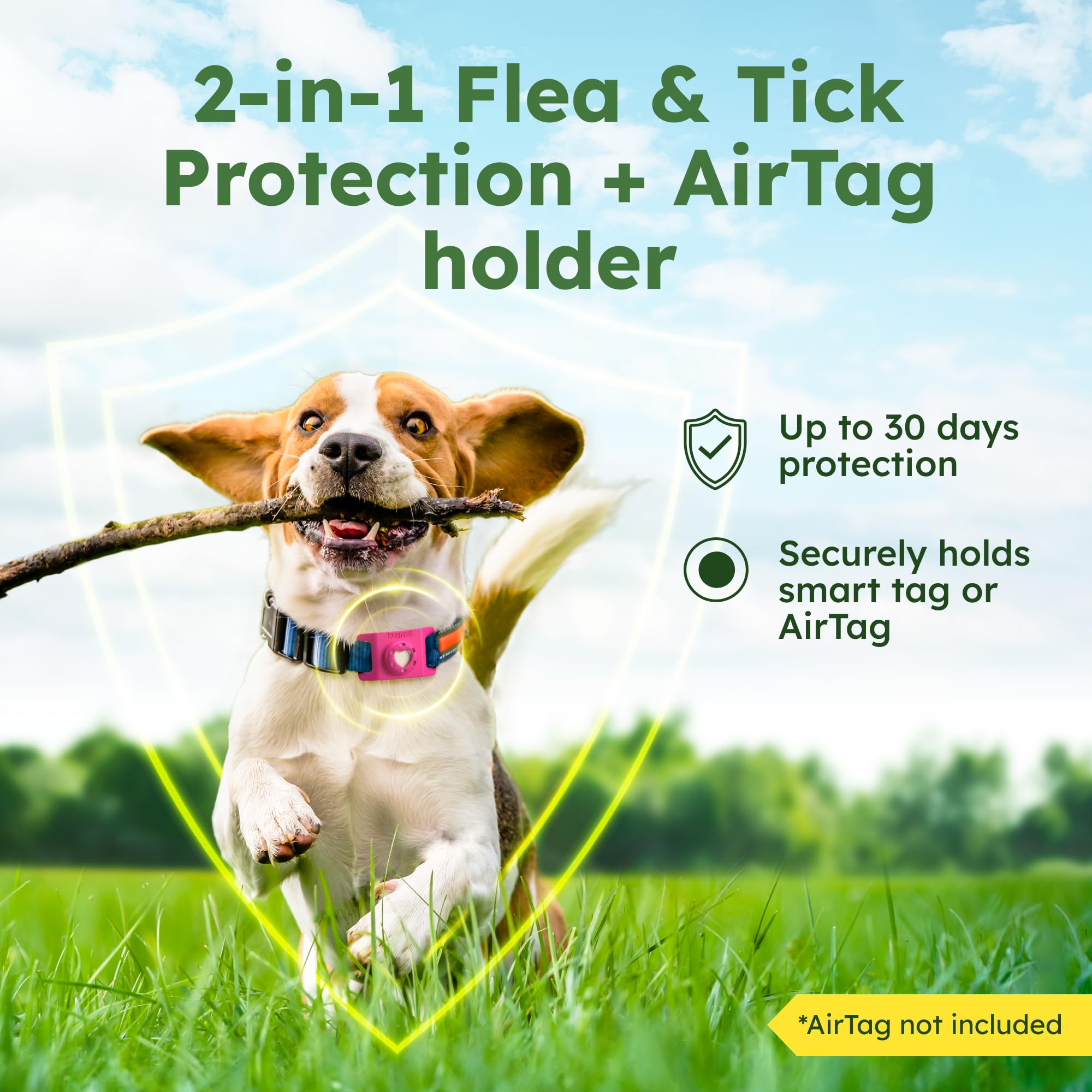 BugMD lightweight design shown on a small dog during playtime.