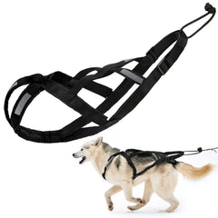 BuleVina dog pulling harness L neck area padded for comfort during walks.
