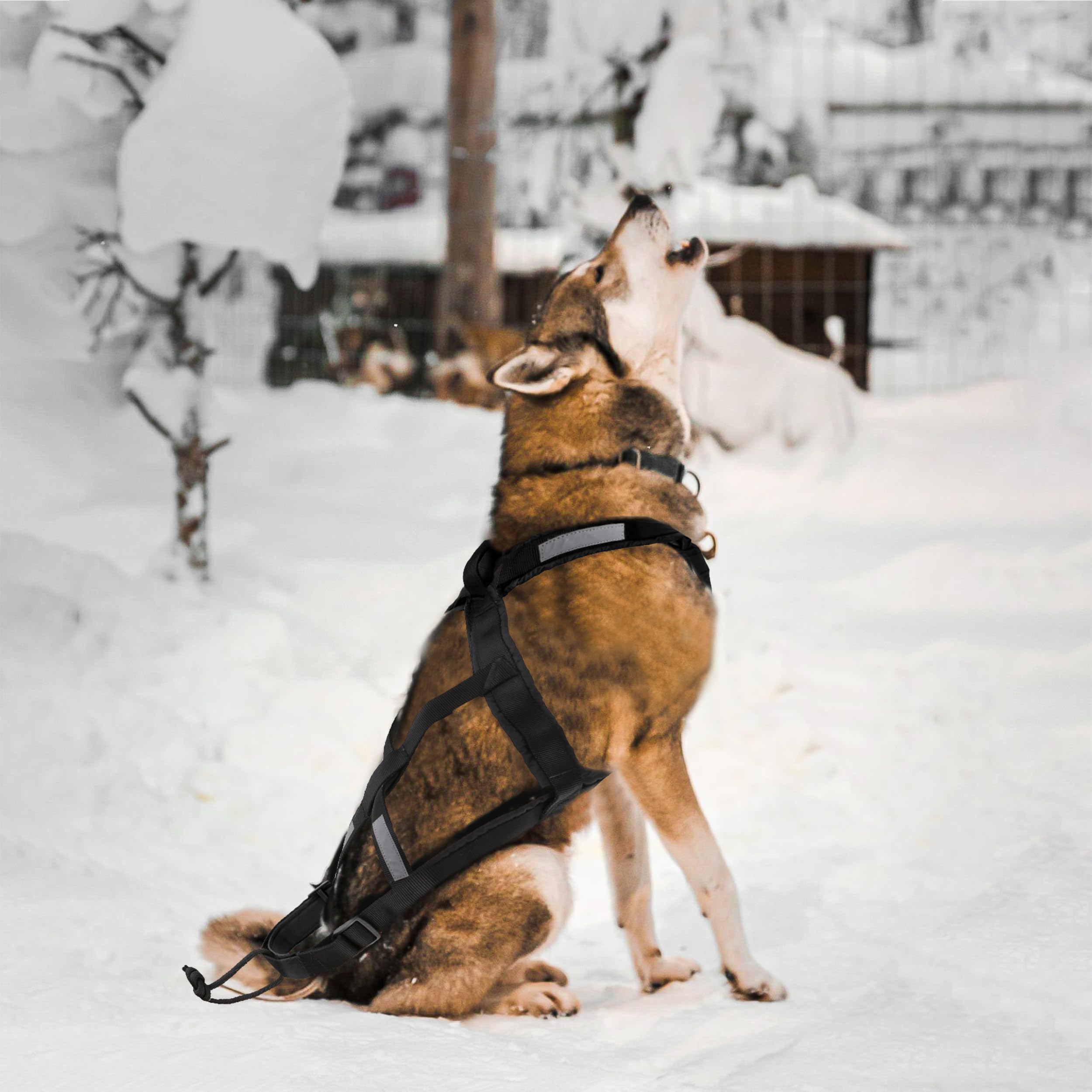 BuleVina dog pulling harness L neck measurement guide helps fit.