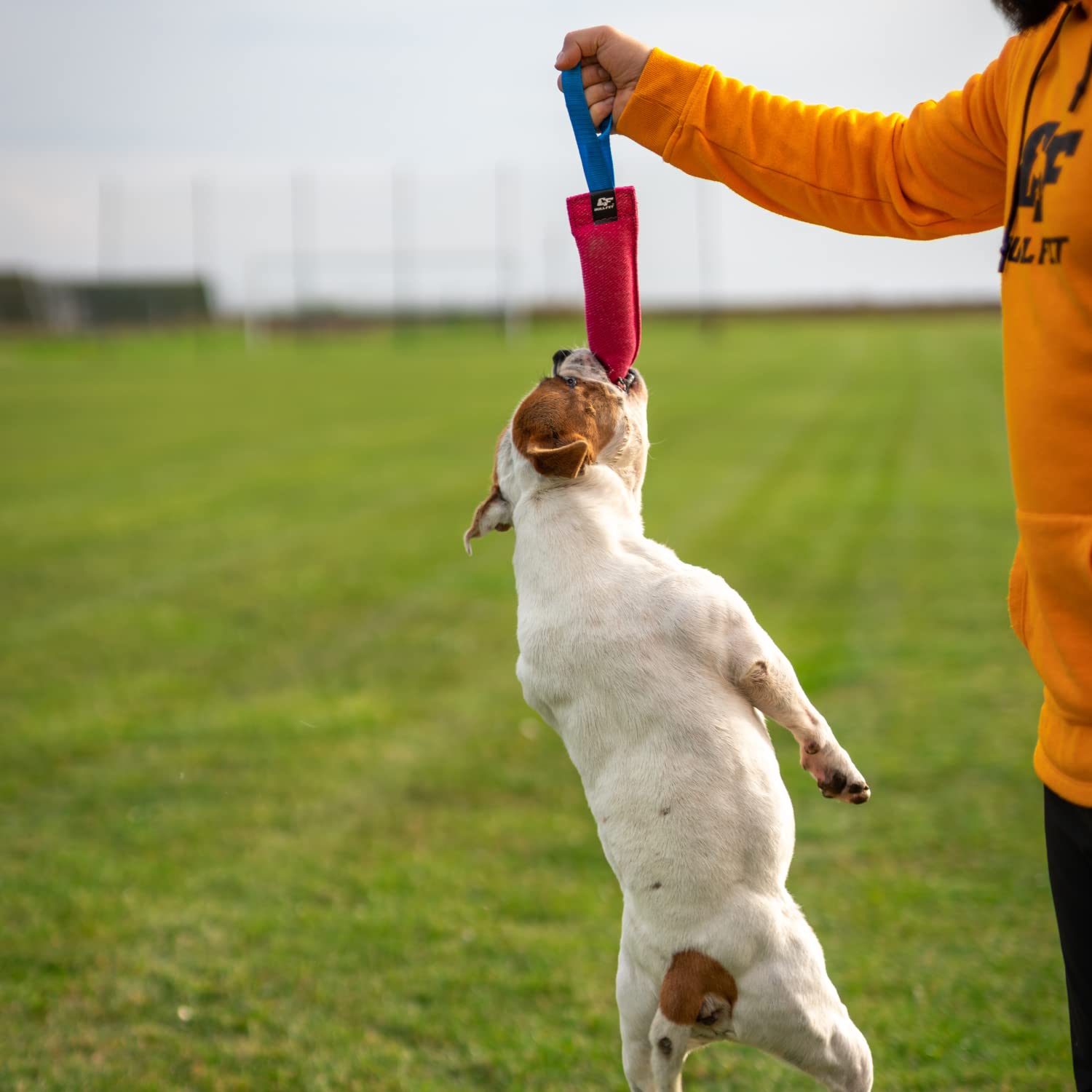 Bull Fit K9 bite tug toy is easy to clean and durable.