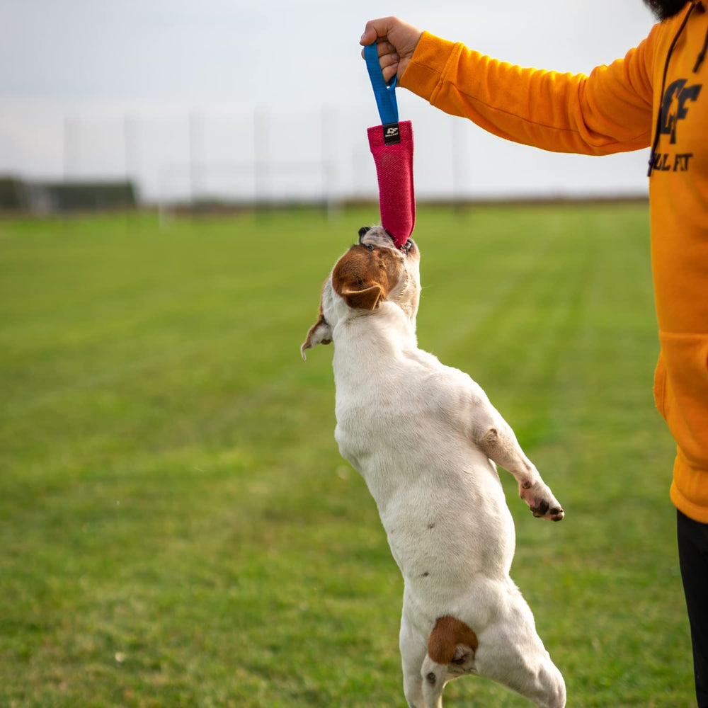 Bull Fit K9 bite tug toy is easy to clean and durable.