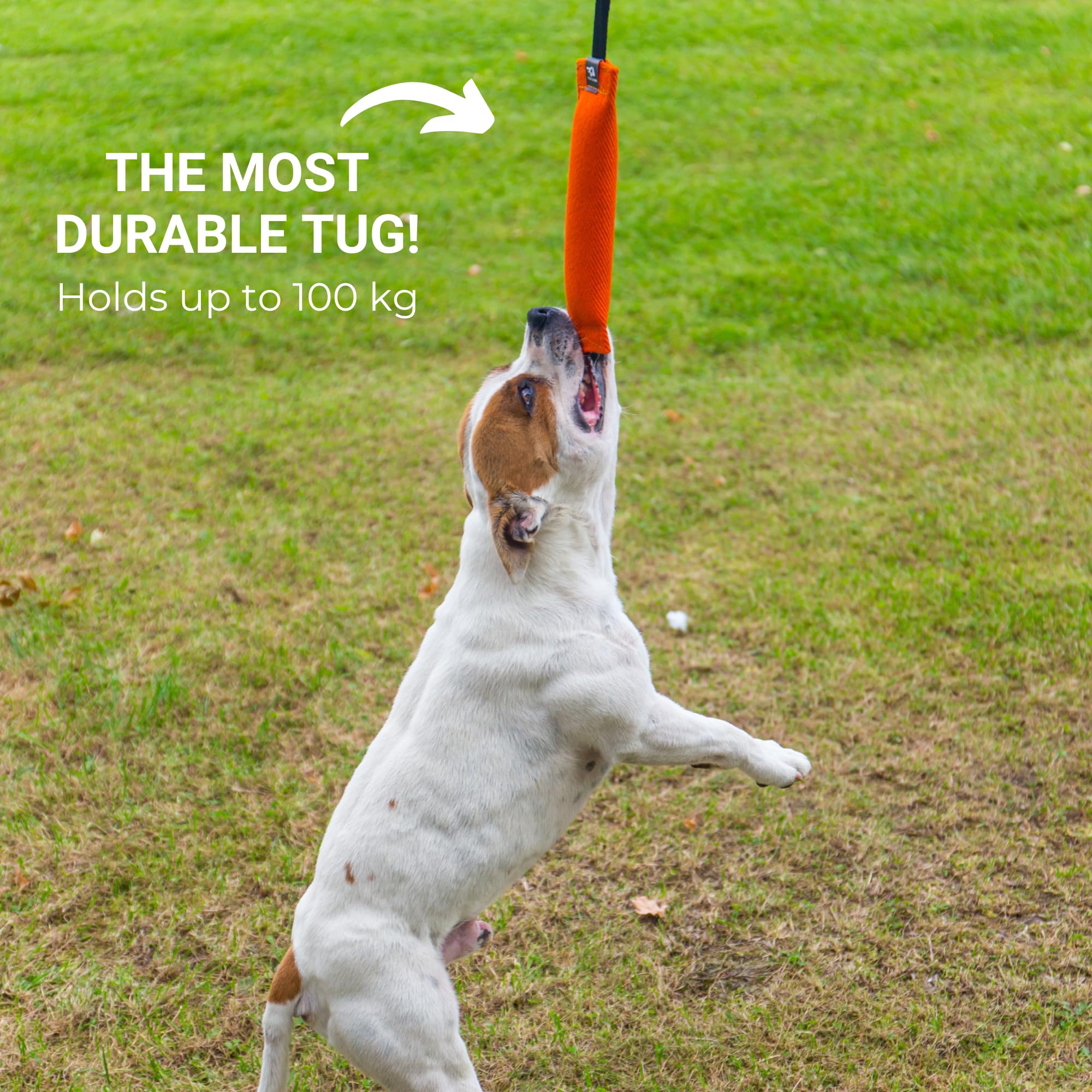 Bull Fit K9 bite tug toy for supervised play only.