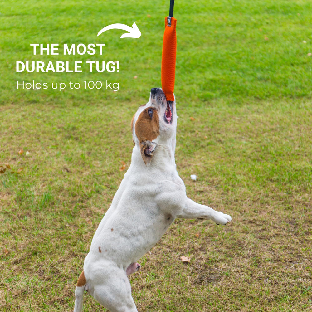 Bull Fit K9 bite tug toy for supervised play only.
