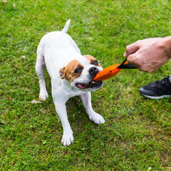 Bull Fit K9 bite tug toy designed for tug-of-war and fetch fun.