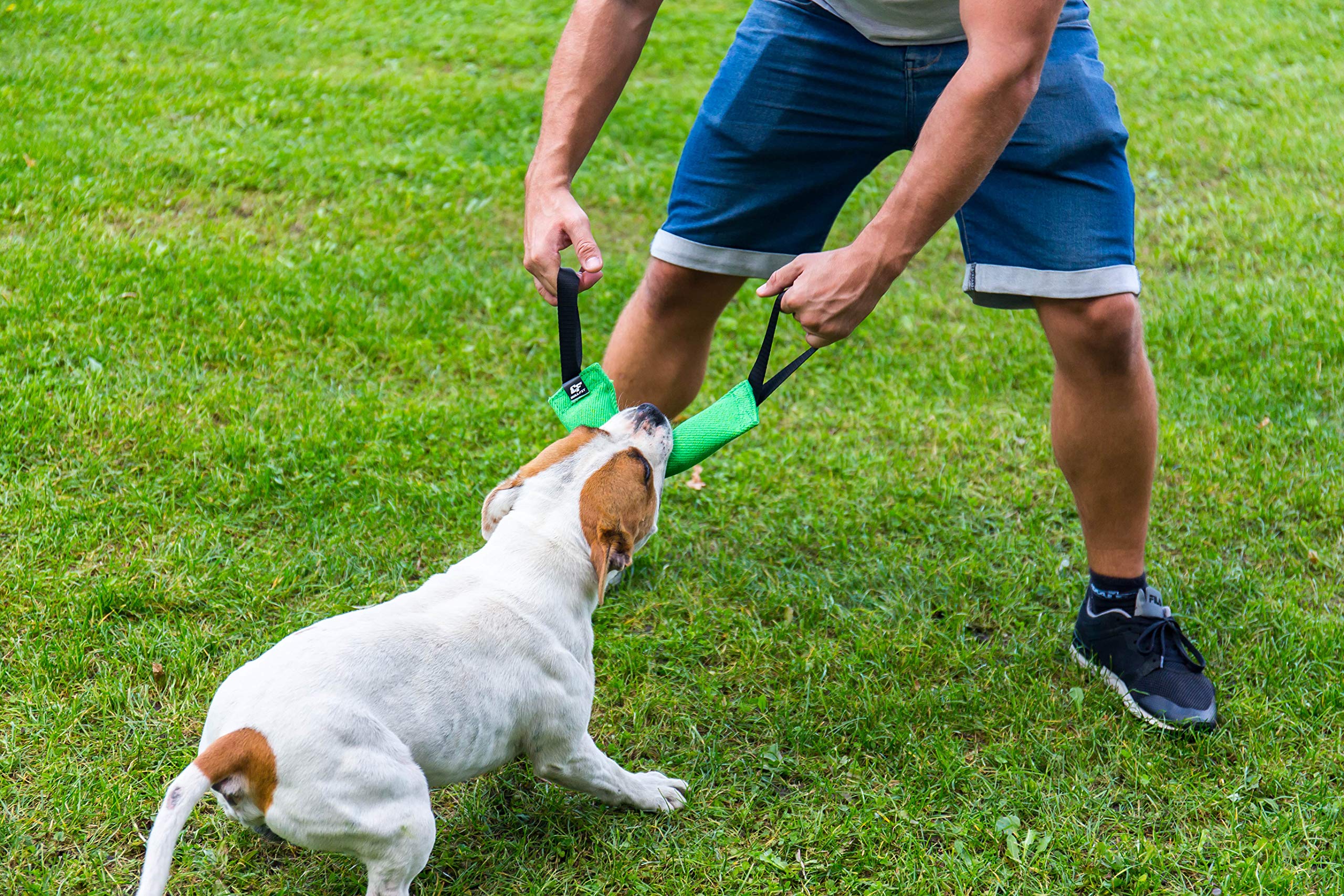Bull Fit K9 tug toy perfect for tug of war and prey drive build.