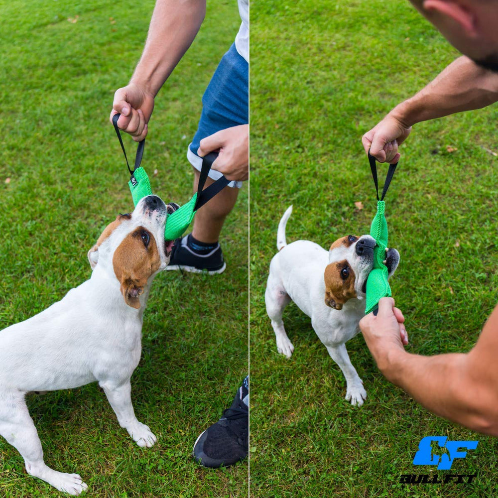 Bull Fit K9 bite tug toy tear-resistant surface stands up to daily use.