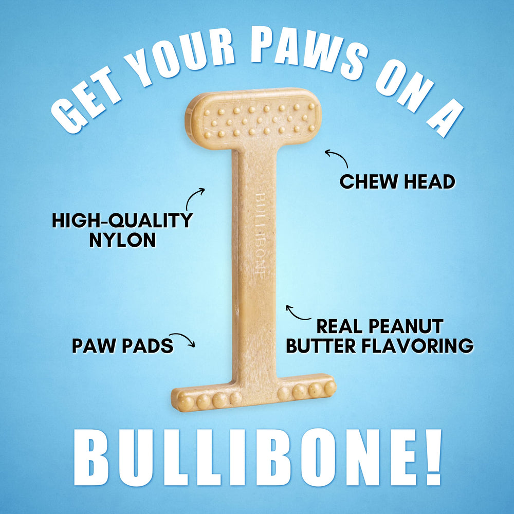 Bullibone extra-large dog chew designed for big breeds and strong jaws.