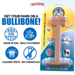 Bullibone indestructible nylon bone for extreme chewers and safety-focused play.
