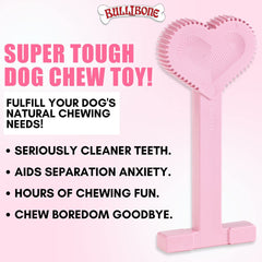 Bullibone nylon dog chew toy close-up shows rugged durability for tough chewers.
