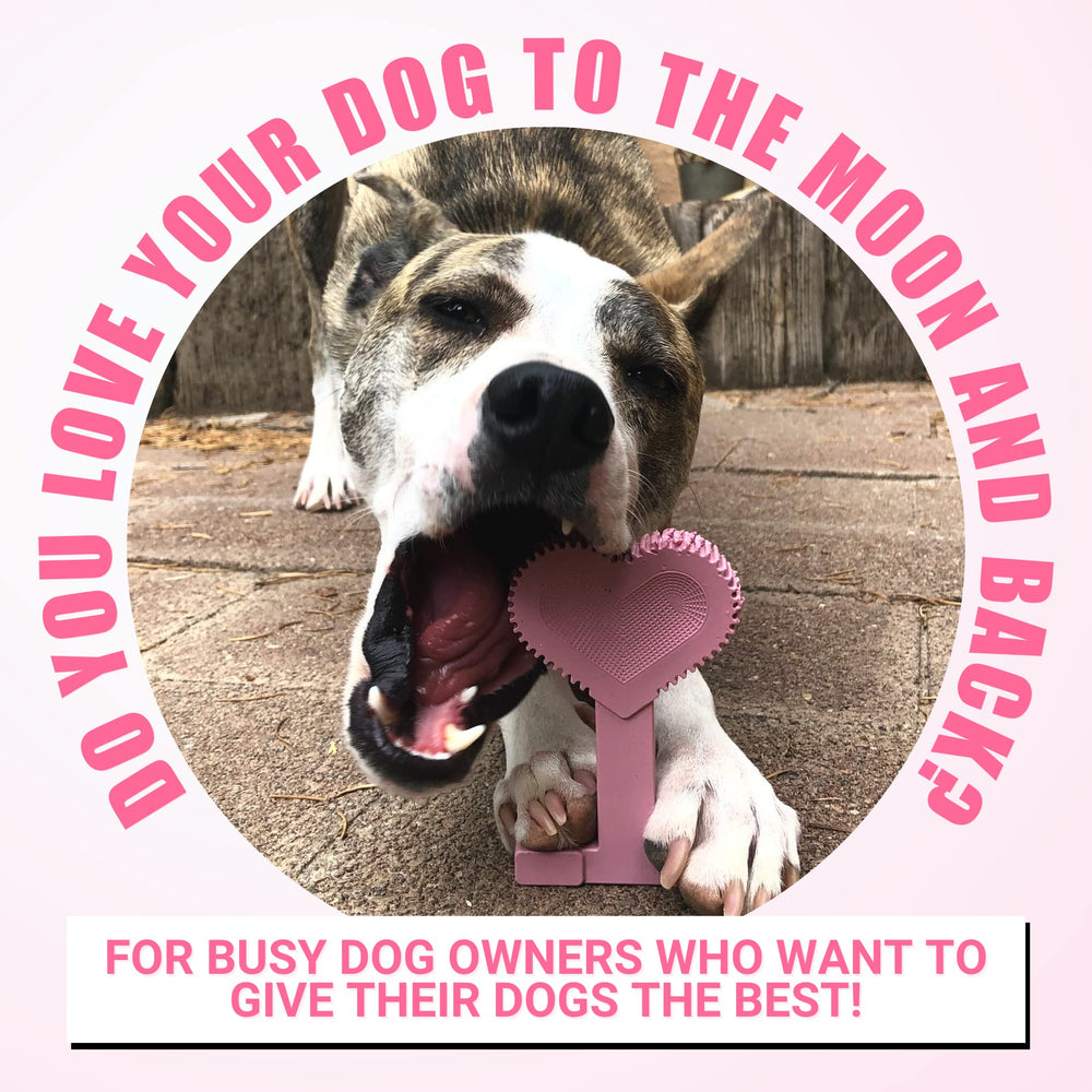 Bullibone nylon dog chew toy flavor permeates the inside for lasting taste.