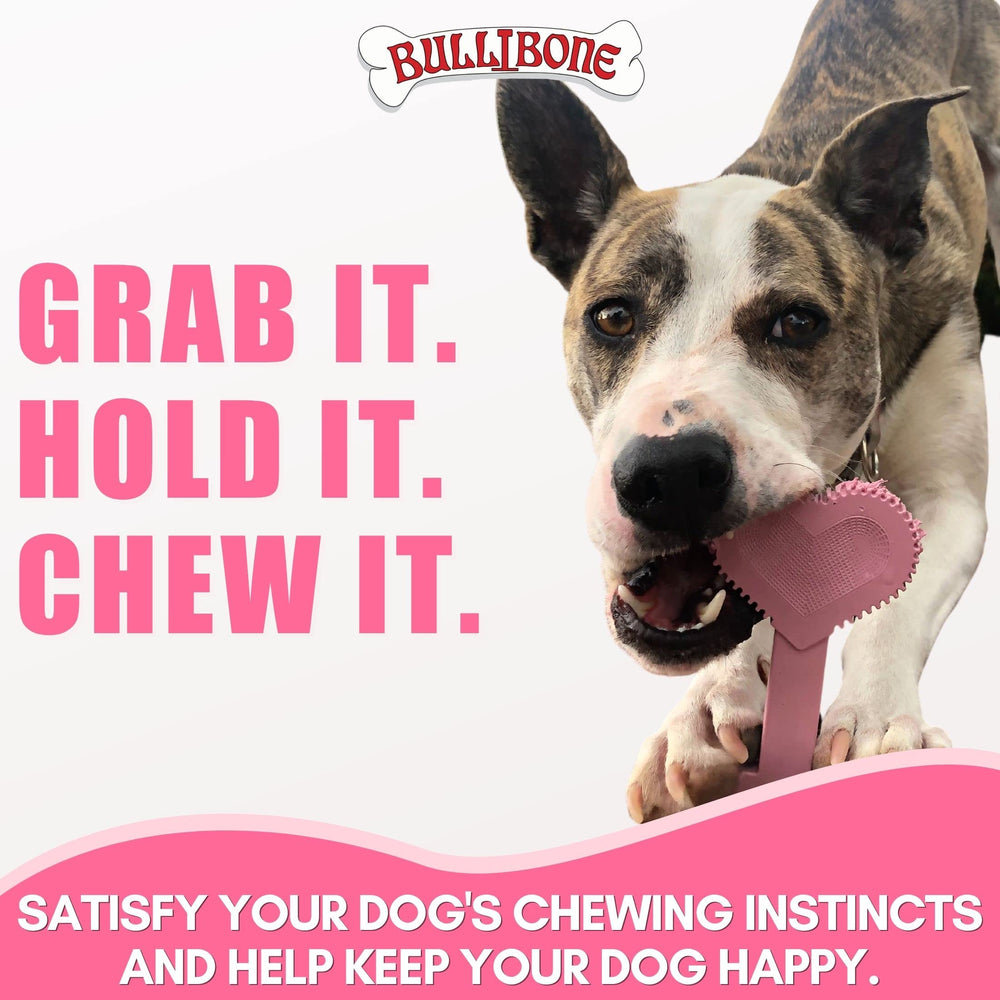 Bullibone nylon dog chew alternative to rawhide for strong chewers.