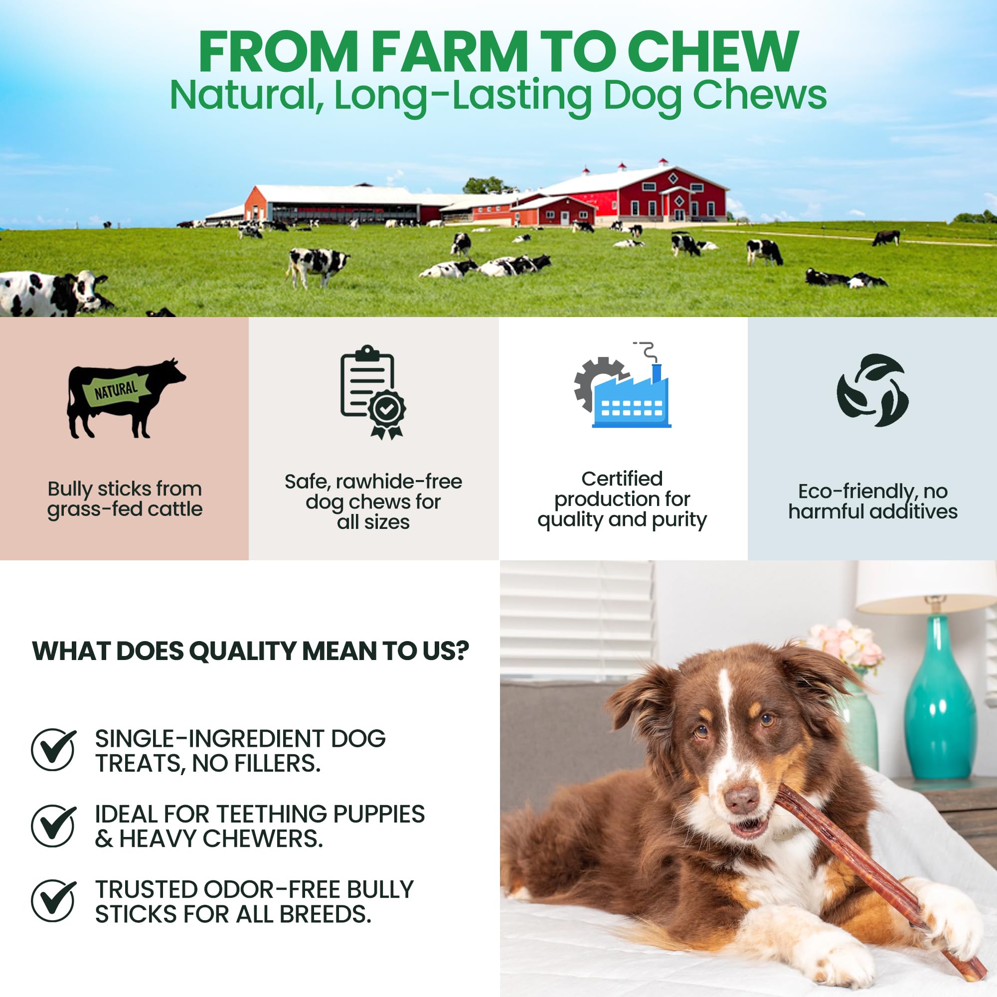 Bully Bark Naturals dental-friendly chew may support plaque reduction
