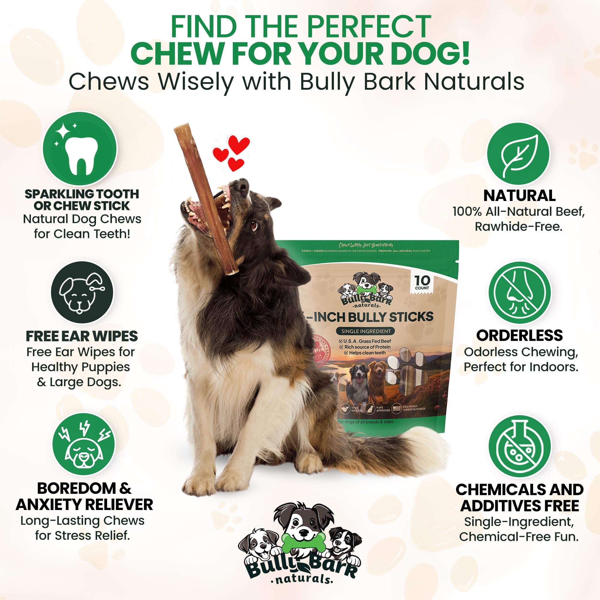 Bully Bark Naturals dental health benefit 6in chew — promotes gum wellness during chewing