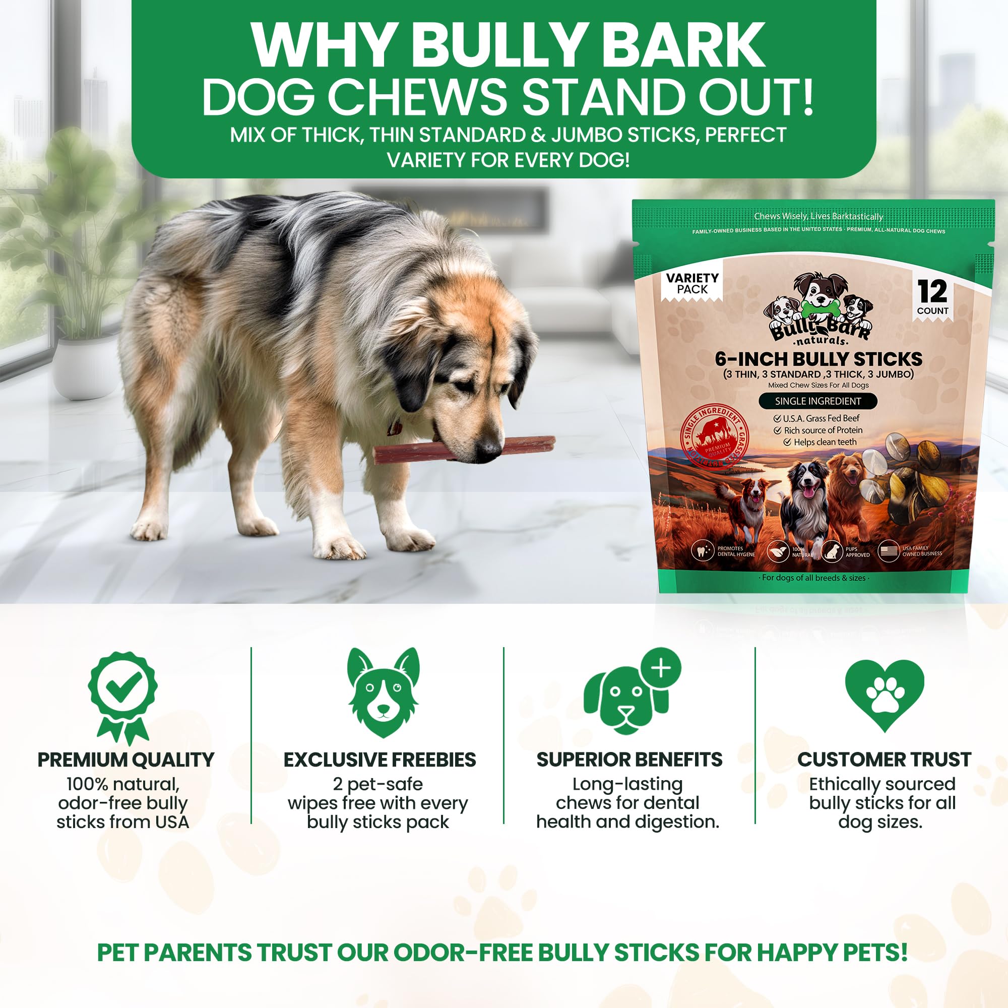 Bully Bark Naturals dental-support sticks image hints at plaque reduction during regular chews.
