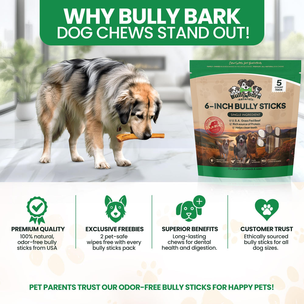 Bully Bark Naturals high-protein dog chew supports energy during play.