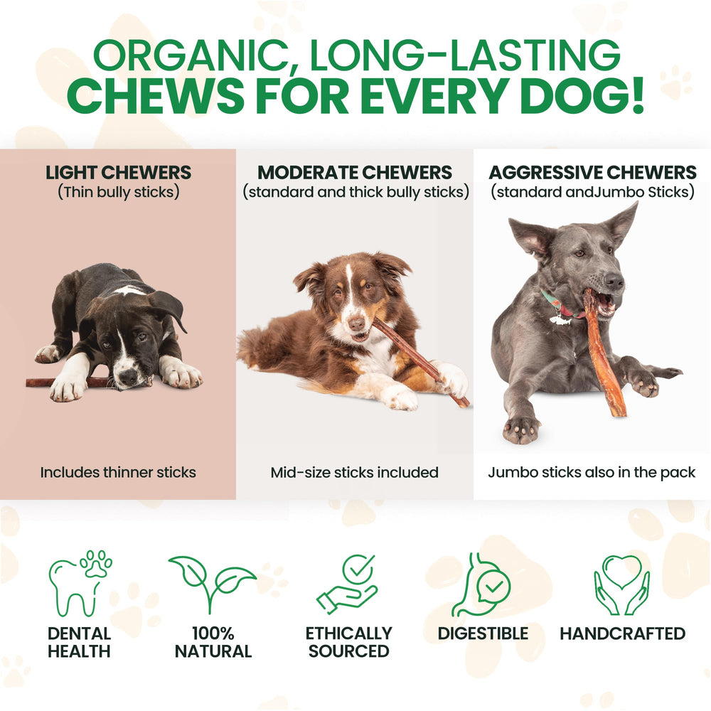 Bully Bark Naturals odor-free oven-baked sticks photo emphasizes low odor during shared meals.