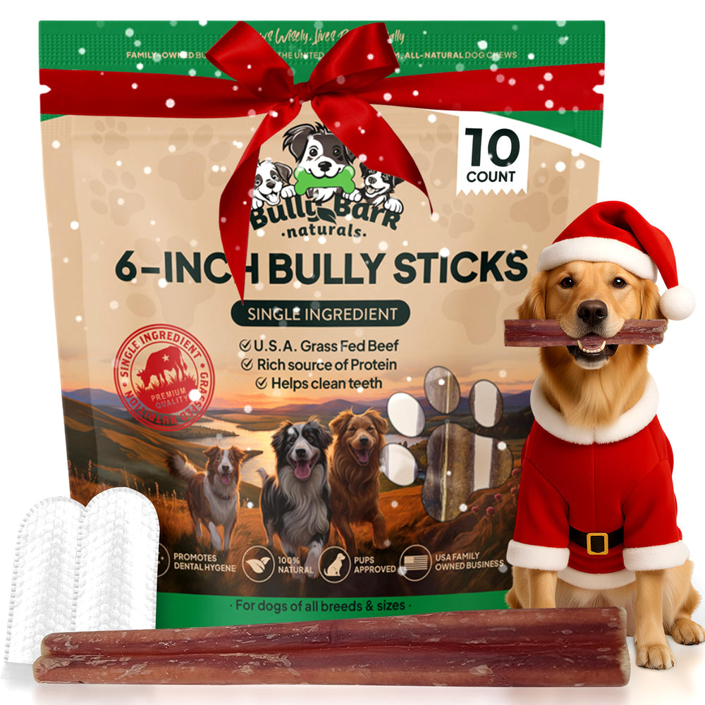 Bully Bark Naturals standard 6in bully sticks pack 1 — long-lasting chew for focused play