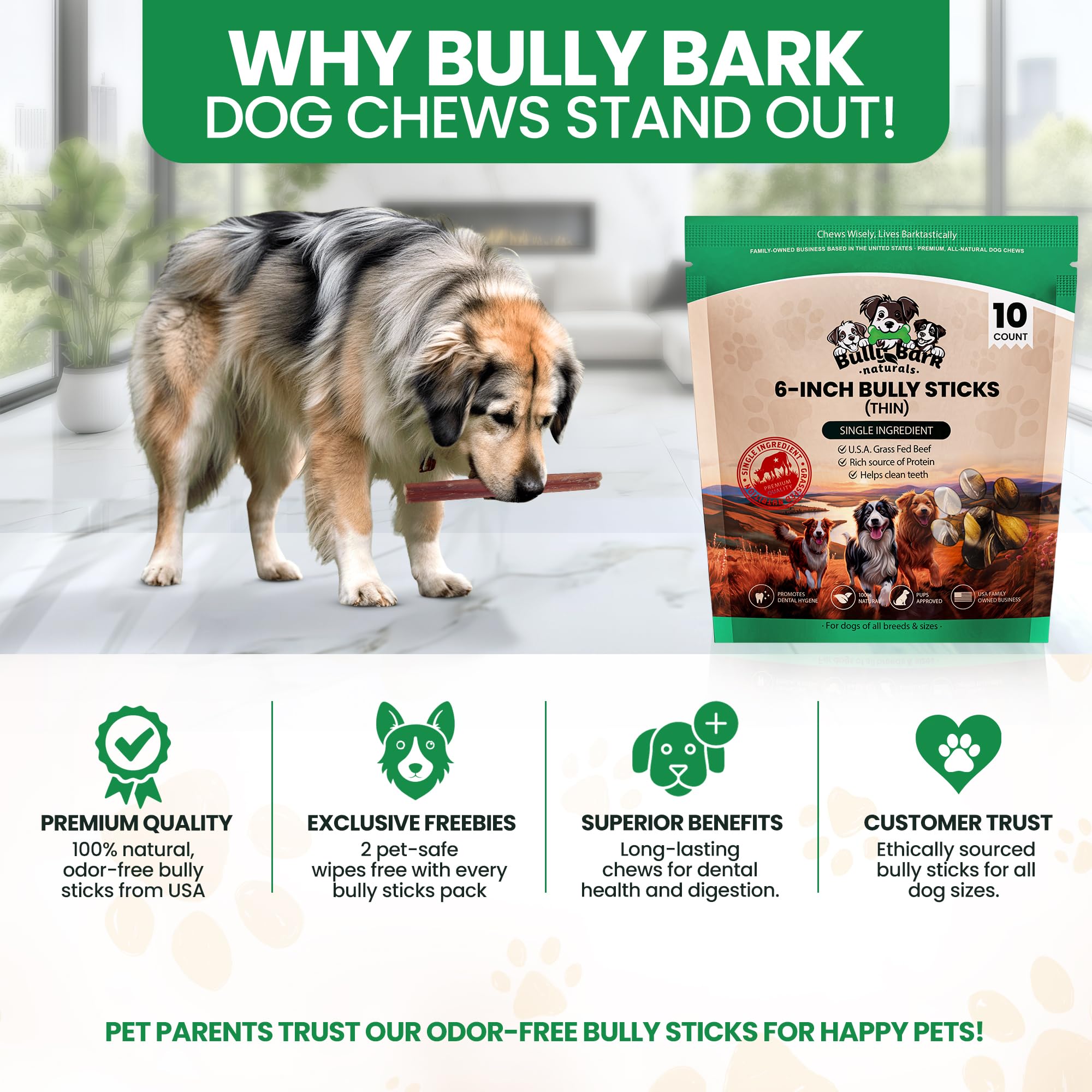 Bully Bark Naturals USA-made, family-owned brand lifestyle shot conveying wholesome care for dogs