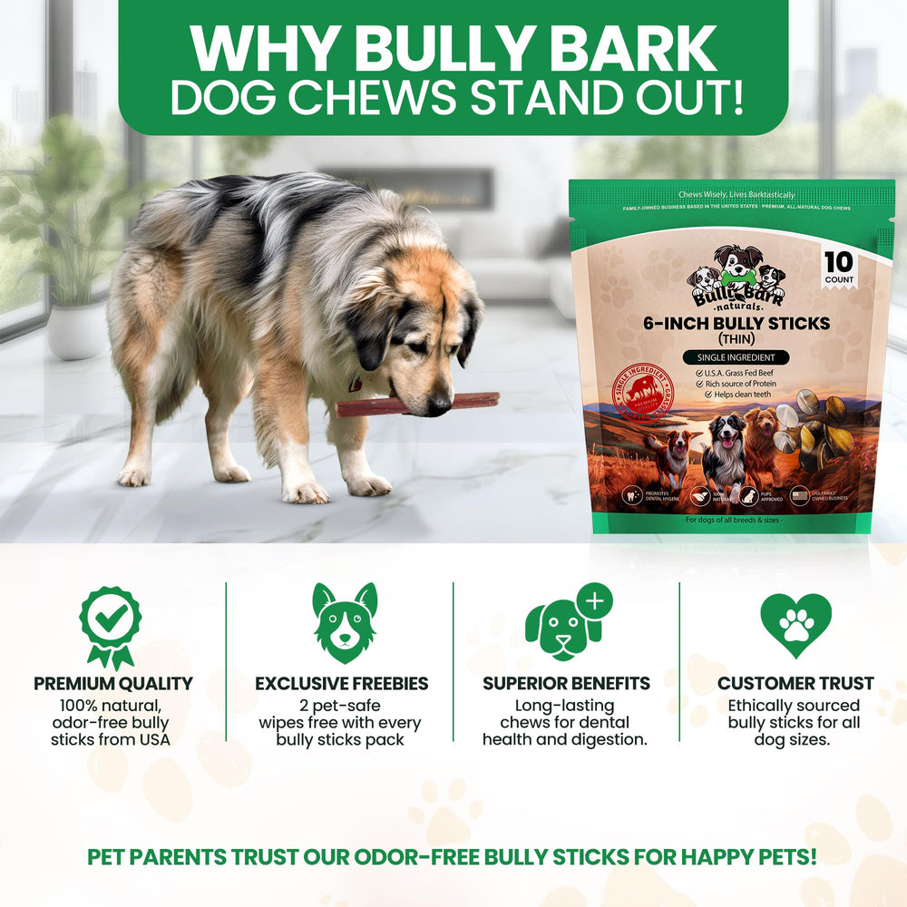Bully Bark Naturals USA-made, family-owned brand lifestyle shot conveying wholesome care for dogs
