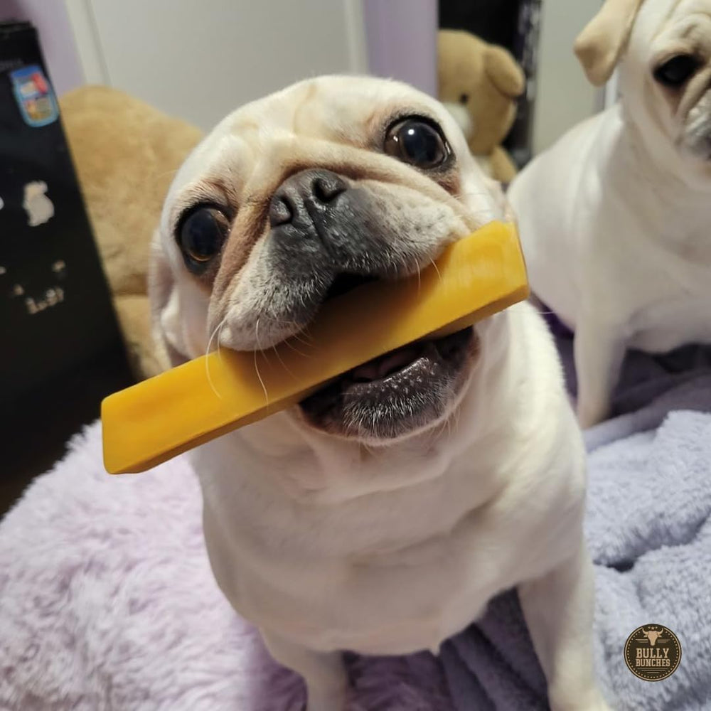 Bully Bunches 3-pack chews — convenient ongoing chewing supply.