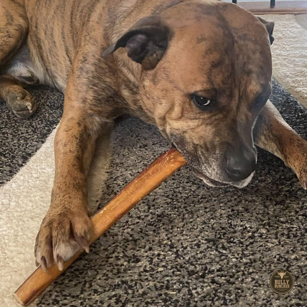 Bully Bunches 56-67 gram sticks sized for robust chewers