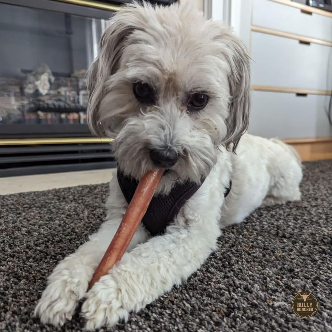 Bully Bunches 6-inch chew closeup highlights thick, satisfying bite.