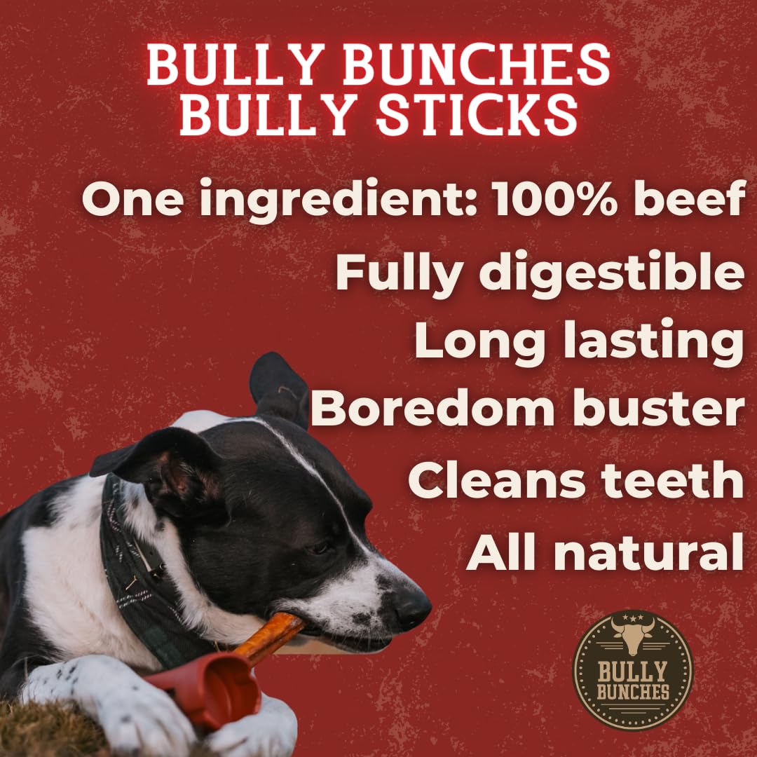 Bully Bunches dental-chew concept—chewing action that supports daily oral care routines.