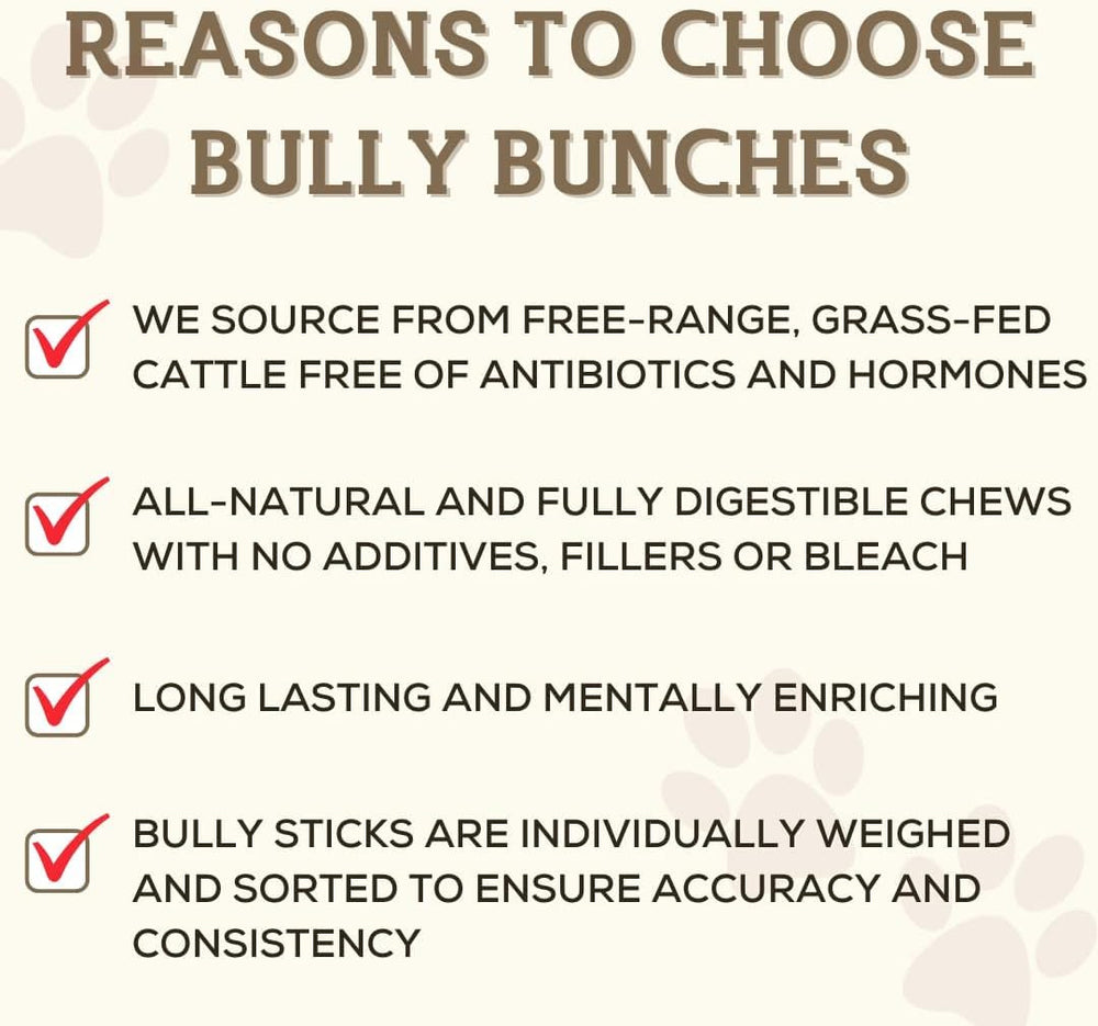 Bully Bunches-dental-health-chew aids teeth cleaning during gnaw sessions.