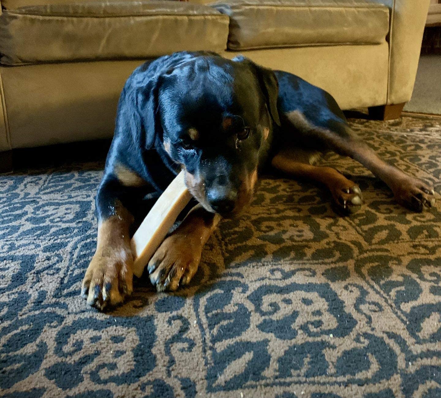 Bully Bunches family-use scenario with dog enjoying chew during playtime.