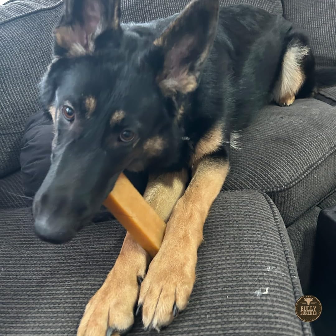 Bully Bunches extra large yak chew shown as oversized durable treat for large dogs.