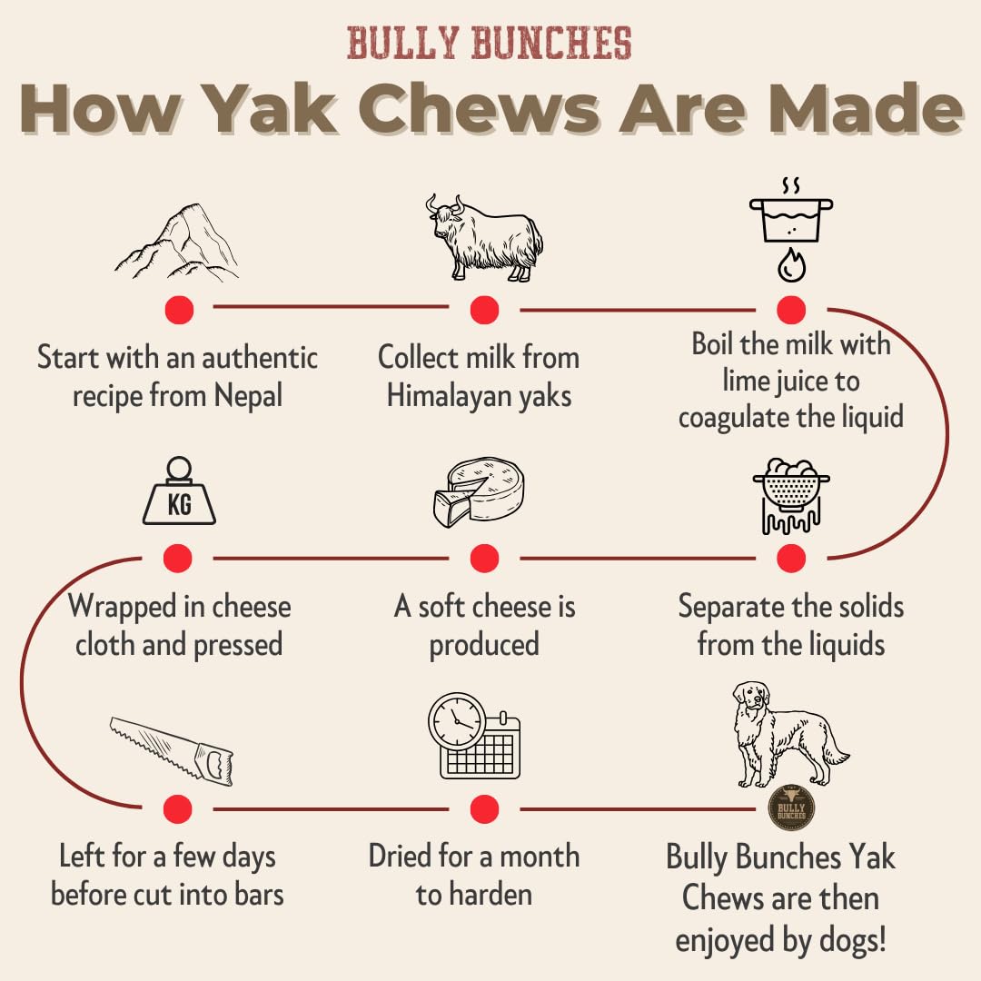 Bully Bunches rawhide-free claim graphic on packaging highlights safety feature.