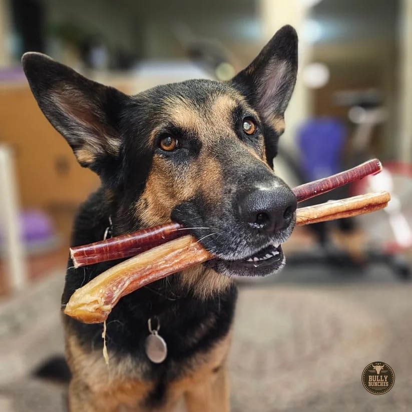 Bully Bunches-family-owned-brand supports Canadian and USA families with quality treats.