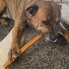 Bully Bunches free-range beef single-ingredient chew from cattle