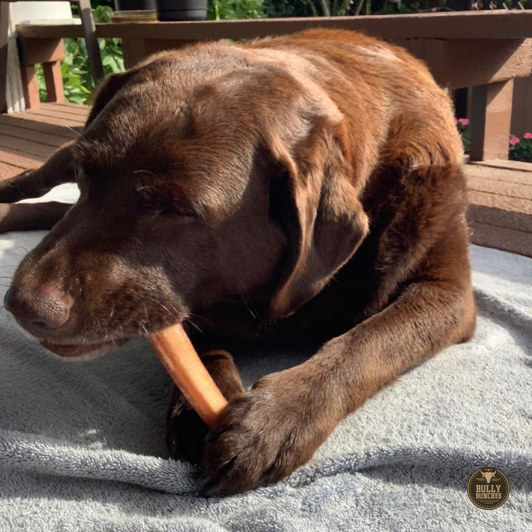 Bully Bunches long-lasting chew captures durable entertainment for medium to large dogs.