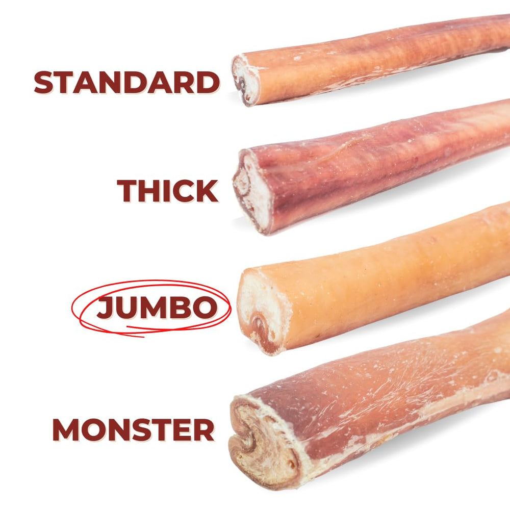 Bully Bunches-odour-free-12inch-bully-stick helps redirect chewing for active dogs.