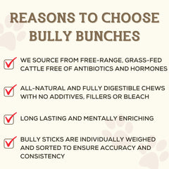 Bully Bunches oven-baked bully stick emphasizes safe long-lasting gnawing