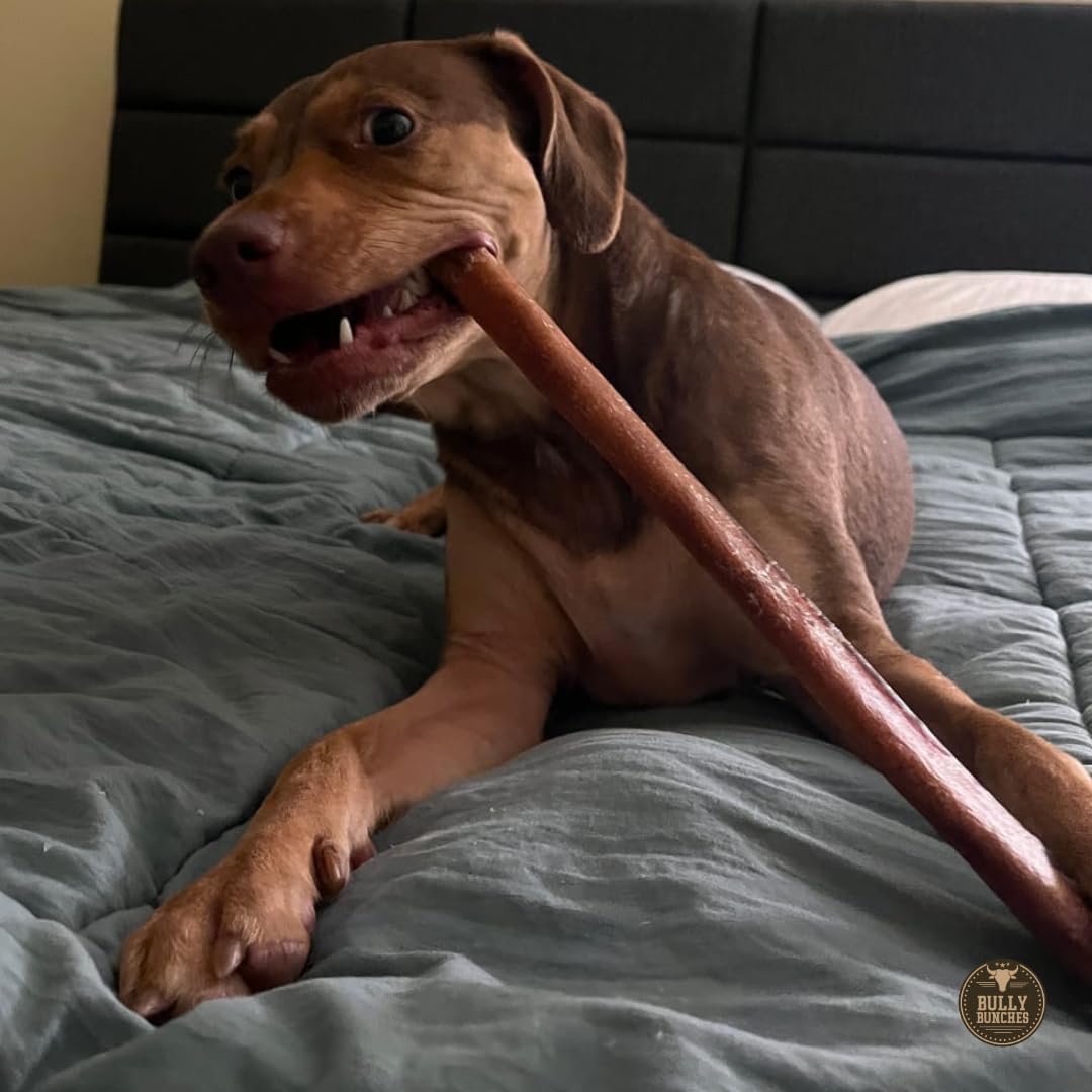 Bully Bunches oven-baked for long-lasting chewing sessions