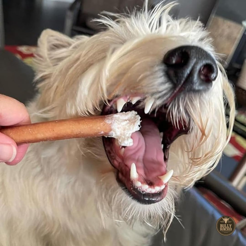 Bully Bunches 6-inch odor-free bully stick, low-fat, high-protein chew option.