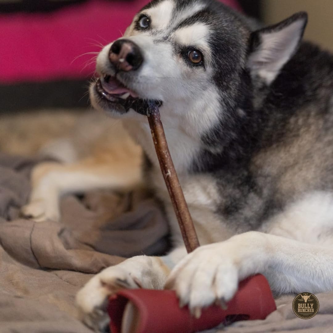 Bully Bunches 12-inch chew for small and medium dogs fits busy households.