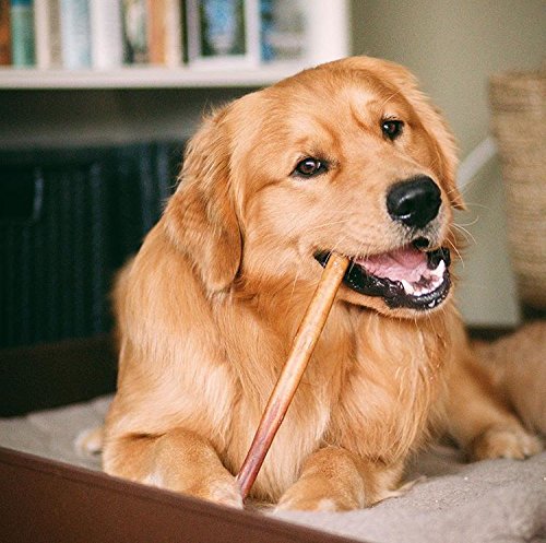 Bully Bunches small-to-medium chew image proves 12-inch size fits smaller chewers.