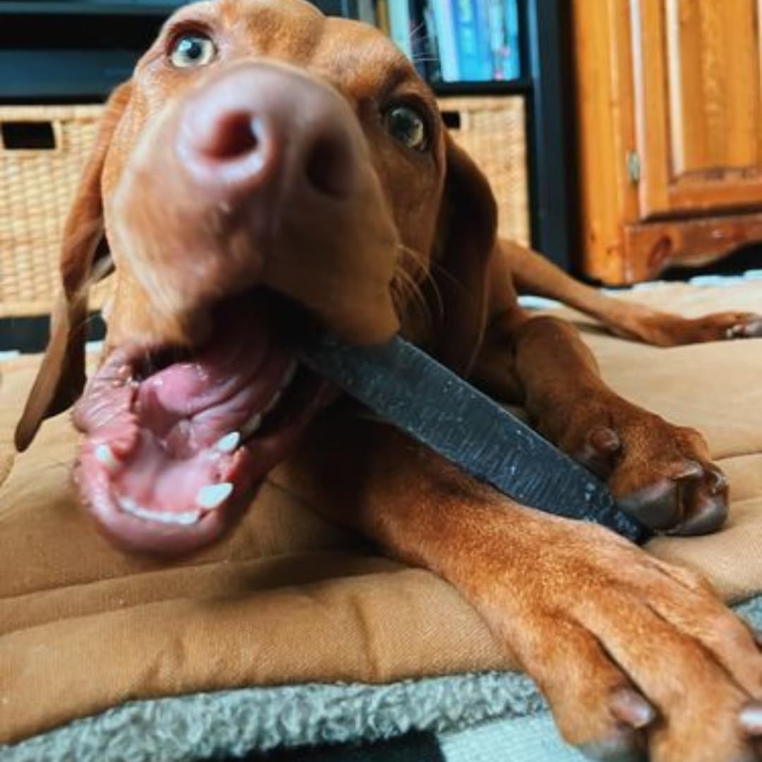 Bully Bunches yak chew high-protein option supports active dogs.