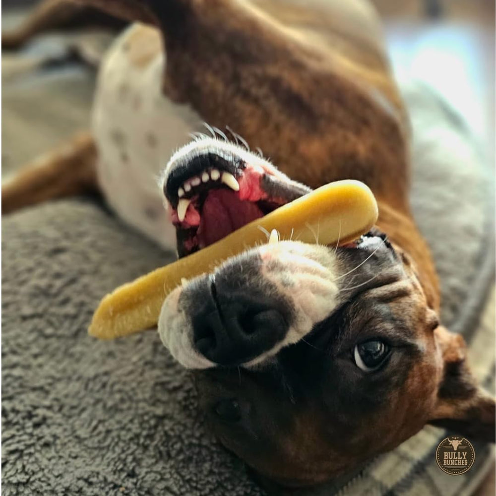 Bully Bunches Yak Chews chew-session keeps dogs engaged and content