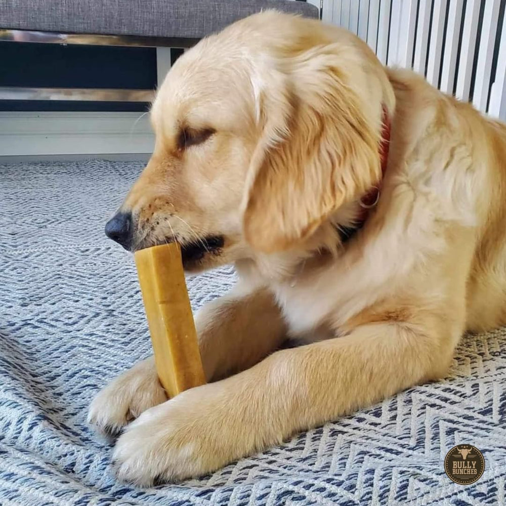 Bully Bunches Yak Chews rawhide-free design reduces digestion concerns