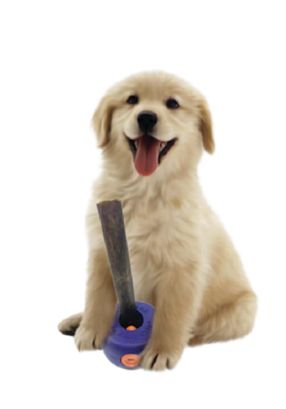 Bully Lok provides safer chew-time by containing hard treats securely.