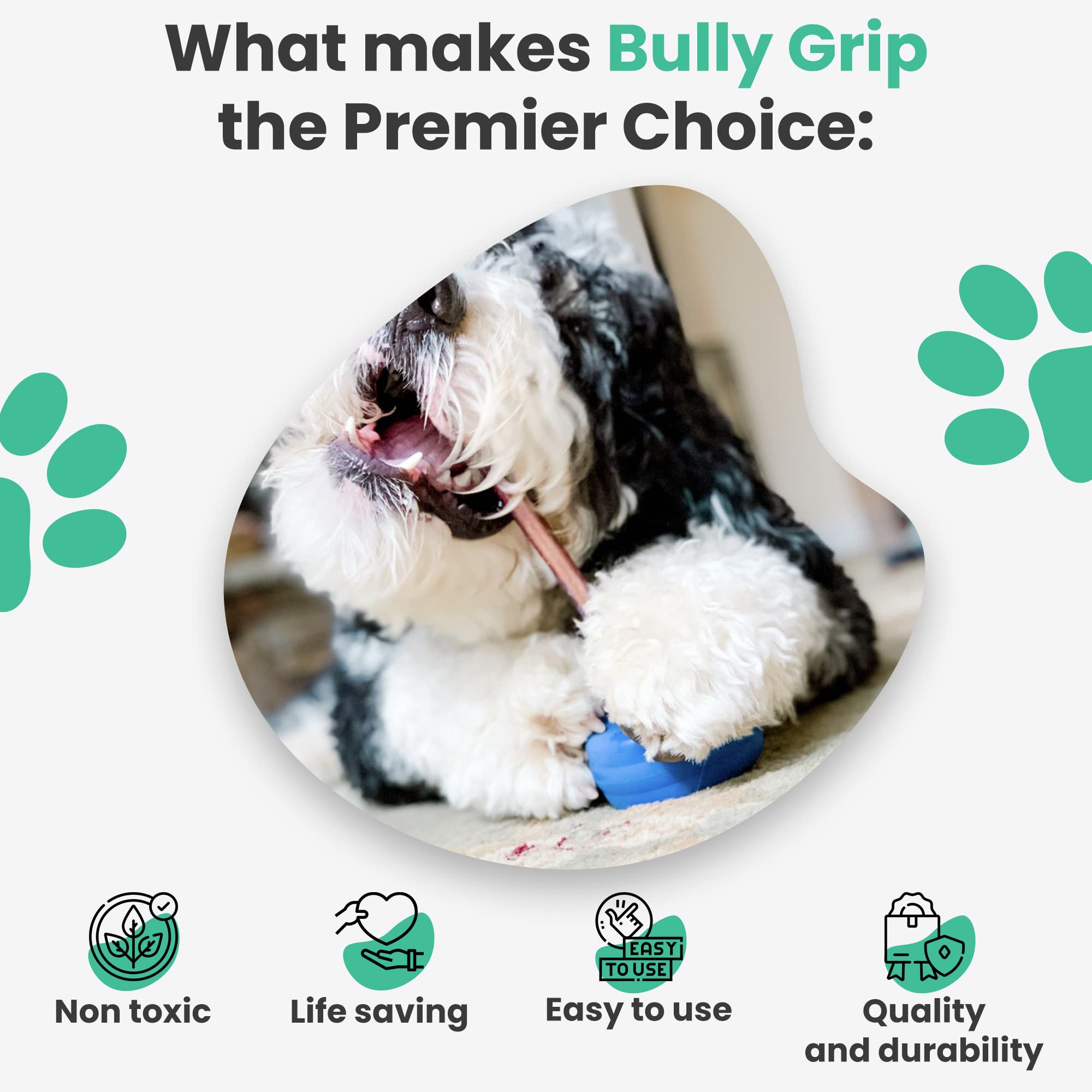 Bully Grip dog-chewing scene emphasizes interactive slow-feeding design