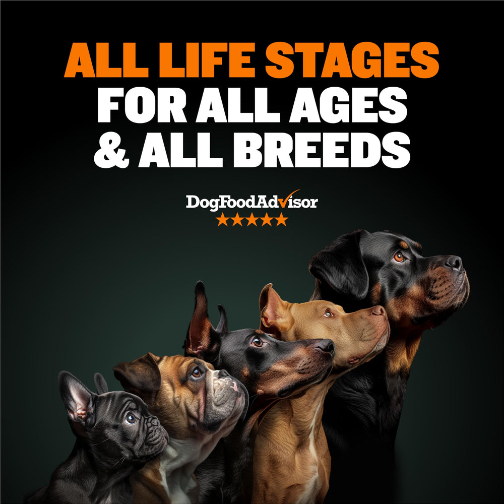Bully Max dry dog food calorie-per-cup graphic highlights energy-dense nutrition.