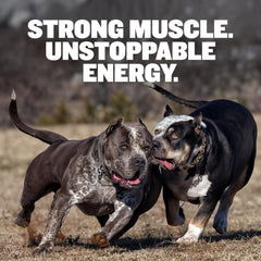 Bully Max beef kibble closeup highlights high protein 30/20 formula for active dogs.